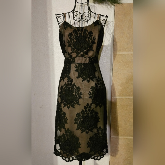 Forever 21 Black Lace and Mesh Cocktail Dress - Picture 1 of 7